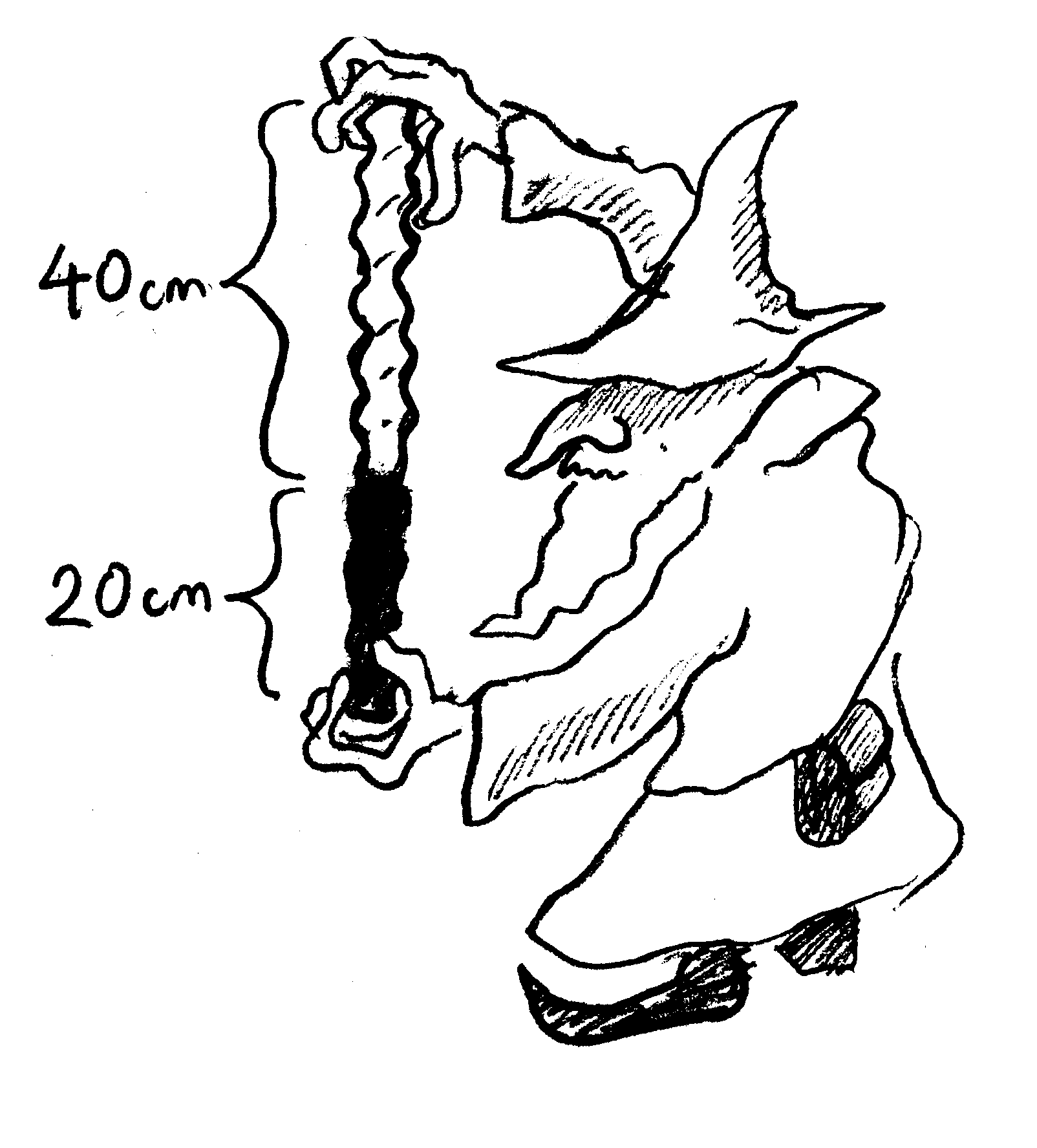 En troldmand med en stav